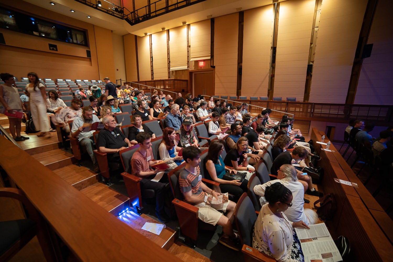 Leonard & Claire Tow Acoustic theatre windows