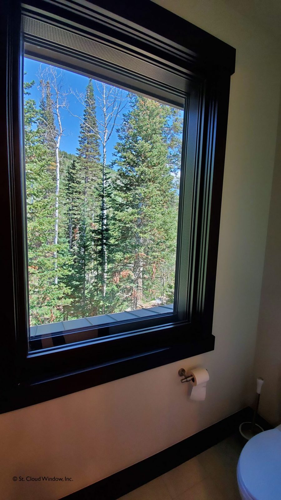 White Pine Canyon Villa